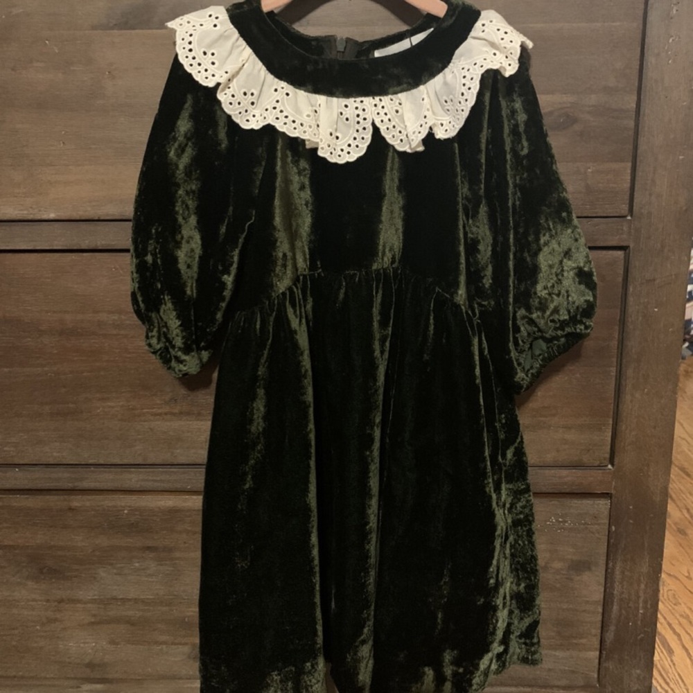 Zara lace velvet dress NWT